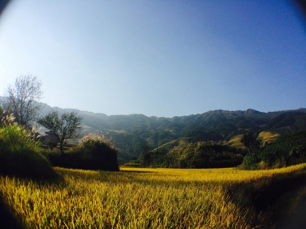 لونغشينغ Rice View Villa المظهر الخارجي الصورة