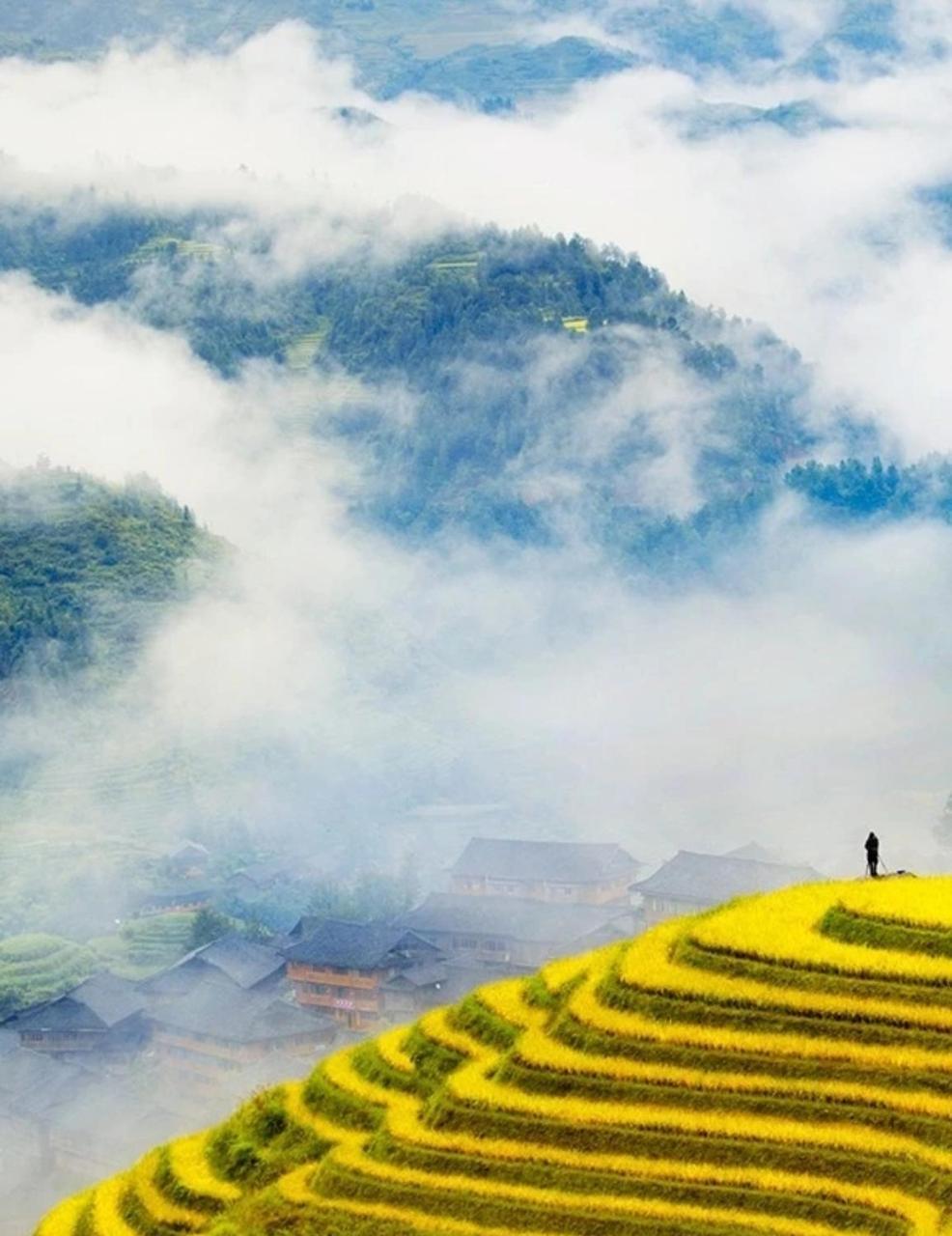 لونغشينغ Rice View Villa المظهر الخارجي الصورة