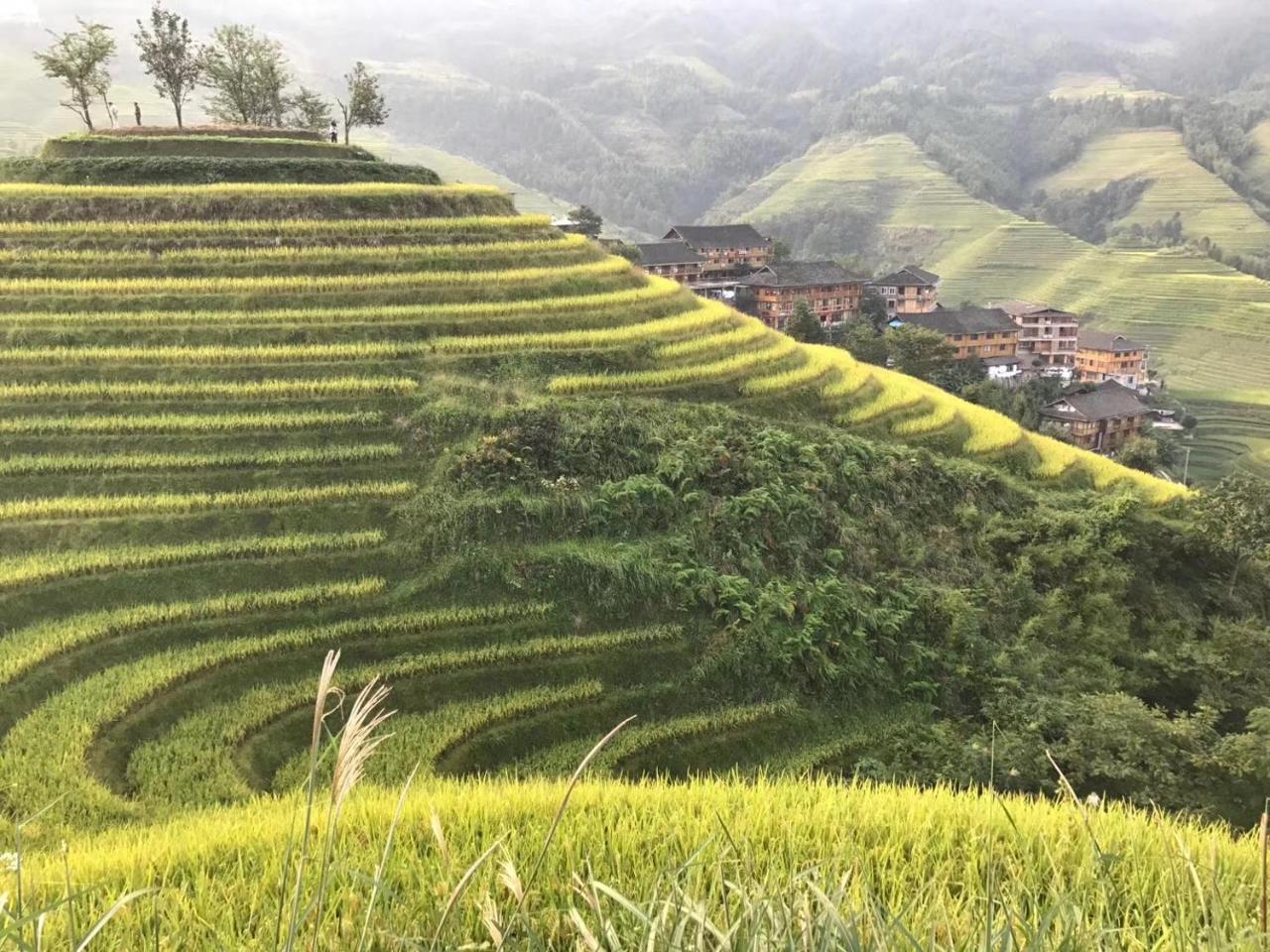 لونغشينغ Rice View Villa المظهر الخارجي الصورة