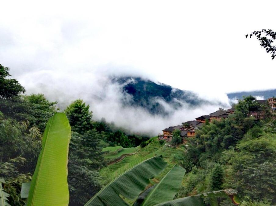 لونغشينغ Rice View Villa المظهر الخارجي الصورة